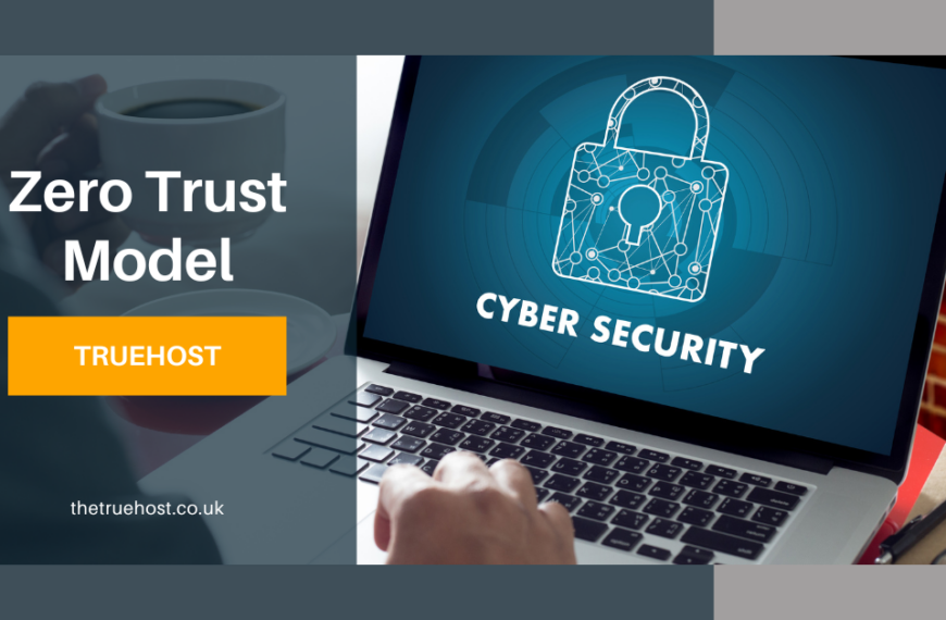 Shows the graphic, zero trust model and the picture showing cyber security